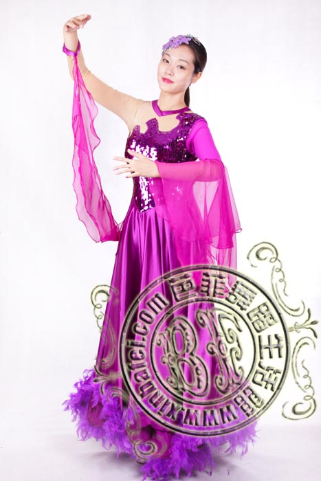 神秘紫色 国标舞裙