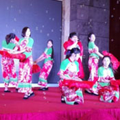 汉族民族舞蹈服装
